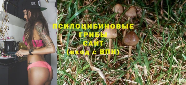 стаф Арсеньев