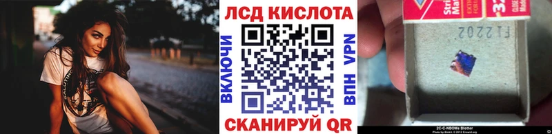 Наркотические марки 1500мкг Олонец