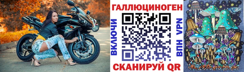 kraken зеркало  Олонец  Псилоцибиновые грибы GOLDEN TEACHER 